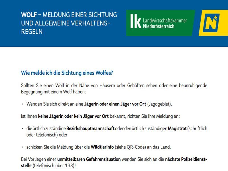 aa_Wolf_Meldung_einer_Sichtung_Bild_2026.jpg